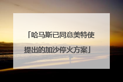 哈马斯已同意美特使提出的加沙停火方案